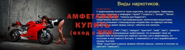 ешки Белокуриха