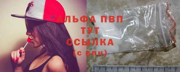 ешки Белокуриха