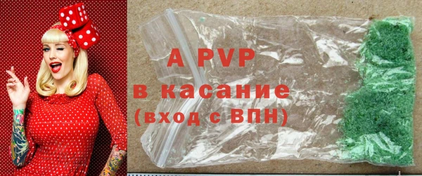 ешки Белокуриха